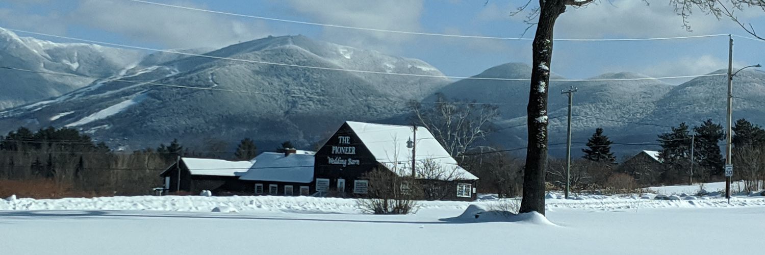 Linda Molinaro banner