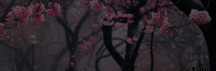 Pilot9x's profile banner image