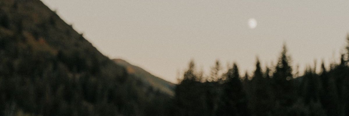 giovanavidal's profile banner image