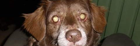 Maribel_Maria5's profile banner image