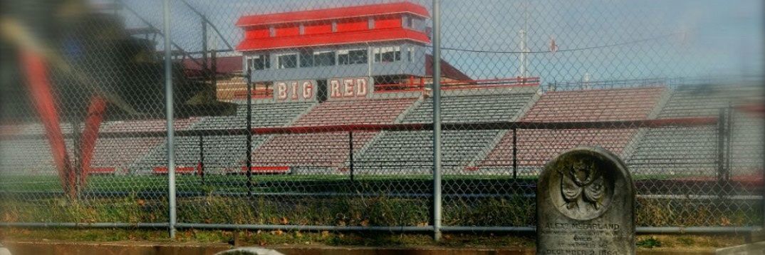 rollredroll's profile banner image