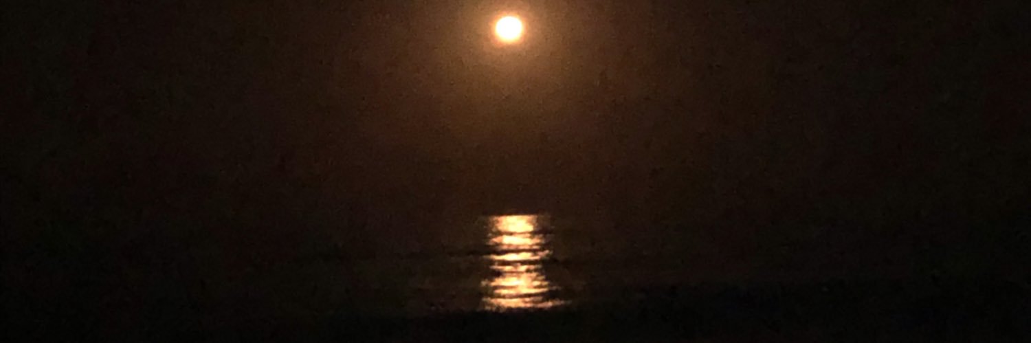 yoyotatto's profile banner image
