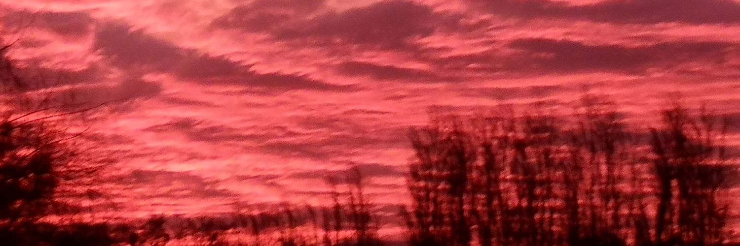 PONCHOTERY's profile banner image