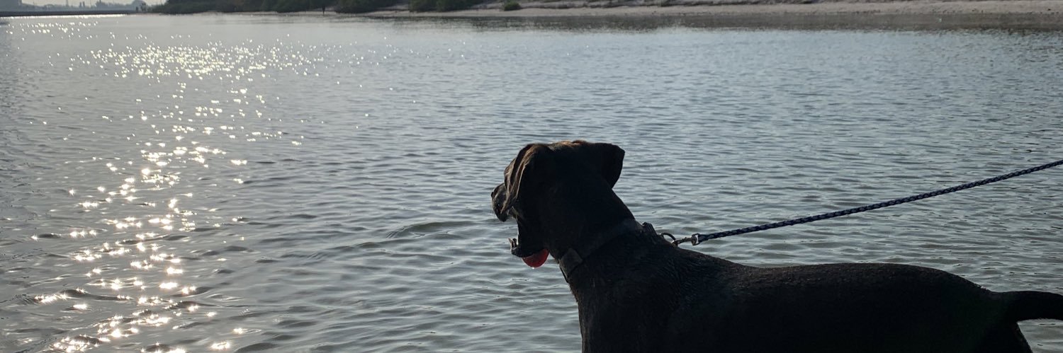 𝒥𝒶𝓂𝒾𝑒👑 banner