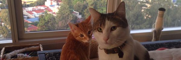 ktuzk Profile Banner