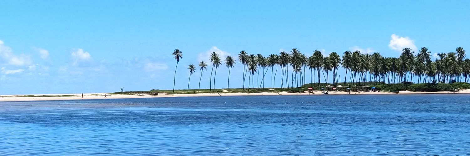 PamiRNascimento's profile banner image