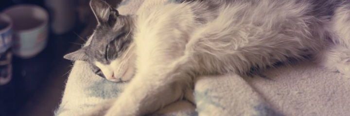 itakoSA's profile banner image