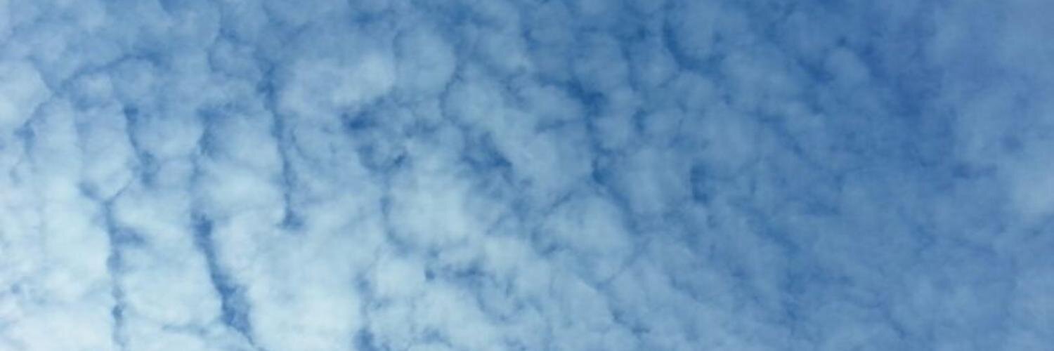vasconcv's profile banner image