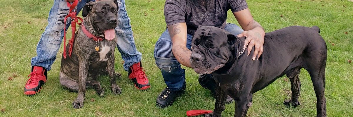 Bobby_Jupiter's profile banner image