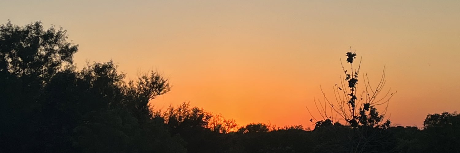 local_dude69's profile banner image