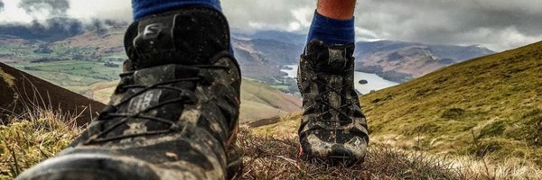 elapins Profile Banner