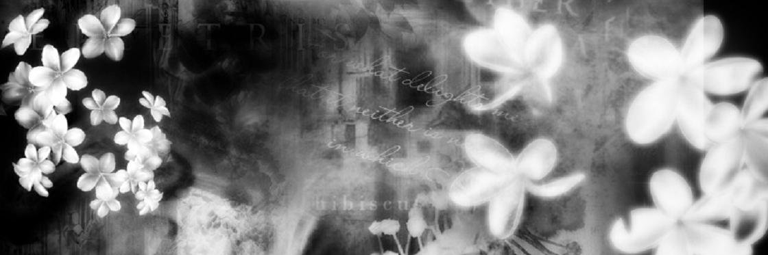 XPhantomessX's profile banner image