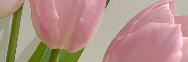 itsmaycarol's profile banner image