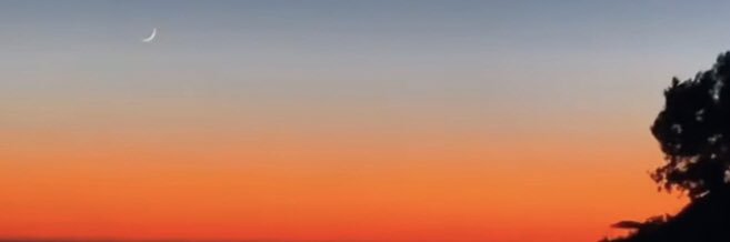 armansingh's profile banner image