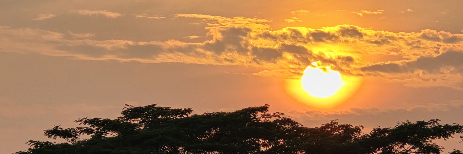 aagustineh's profile banner image