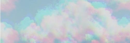 Hassi banner