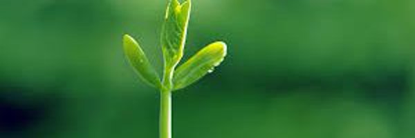 JinLian78 Profile Banner