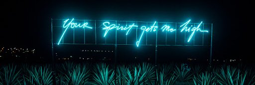 Demi_Kiwi's profile banner image