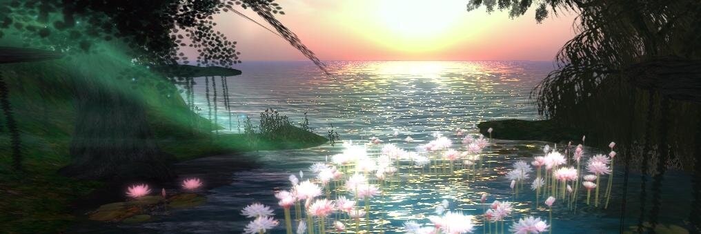 chiro1701's profile banner image