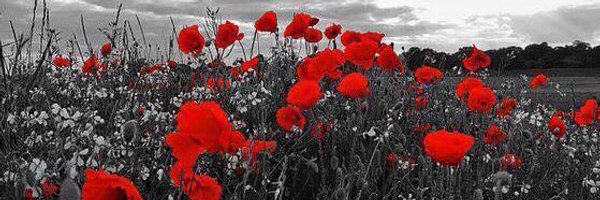 MatNuttall Profile Banner