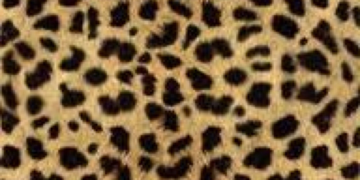 kaelincarter's profile banner image