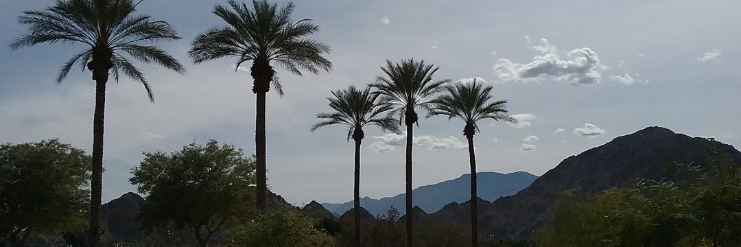 AZGuy777's profile banner image