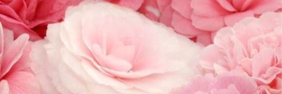 heatherabarnes's profile banner image