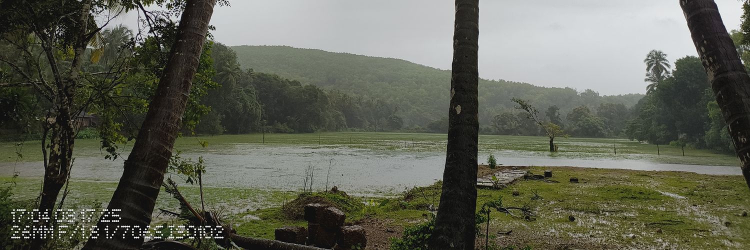 mkorikkar's profile banner image