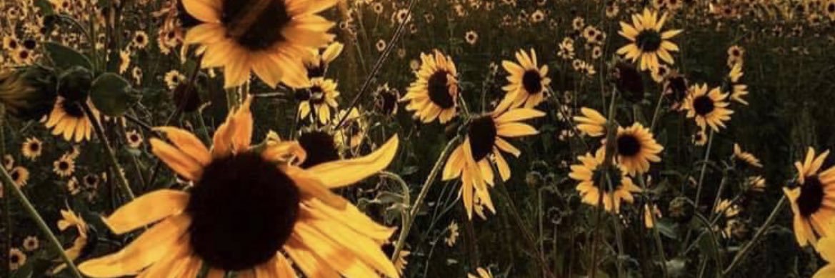 Christina_7o7's profile banner image