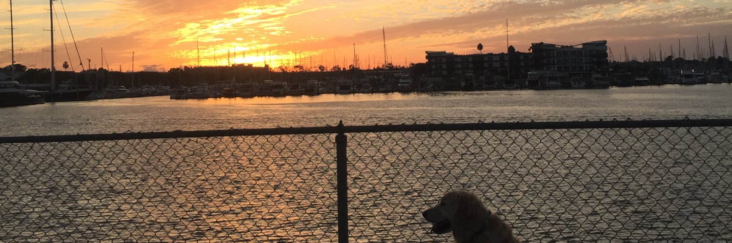 Barbara Titus banner