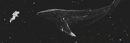 mattdika's profile banner image