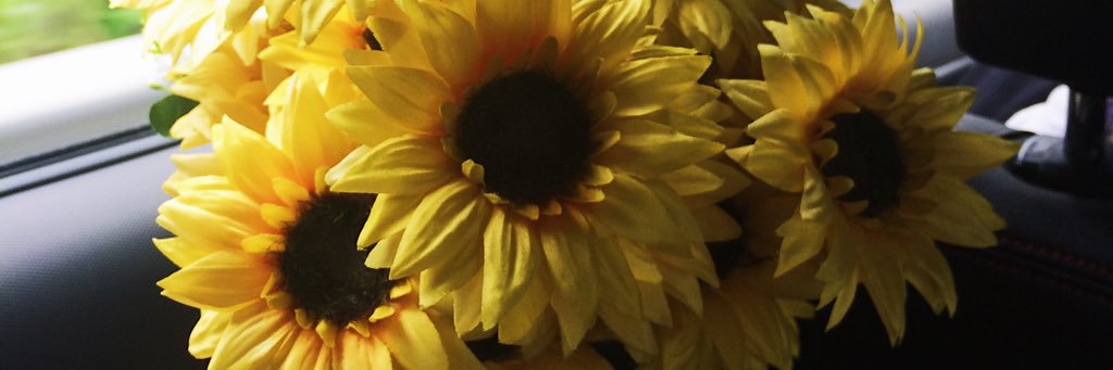 Azreendu's profile banner image
