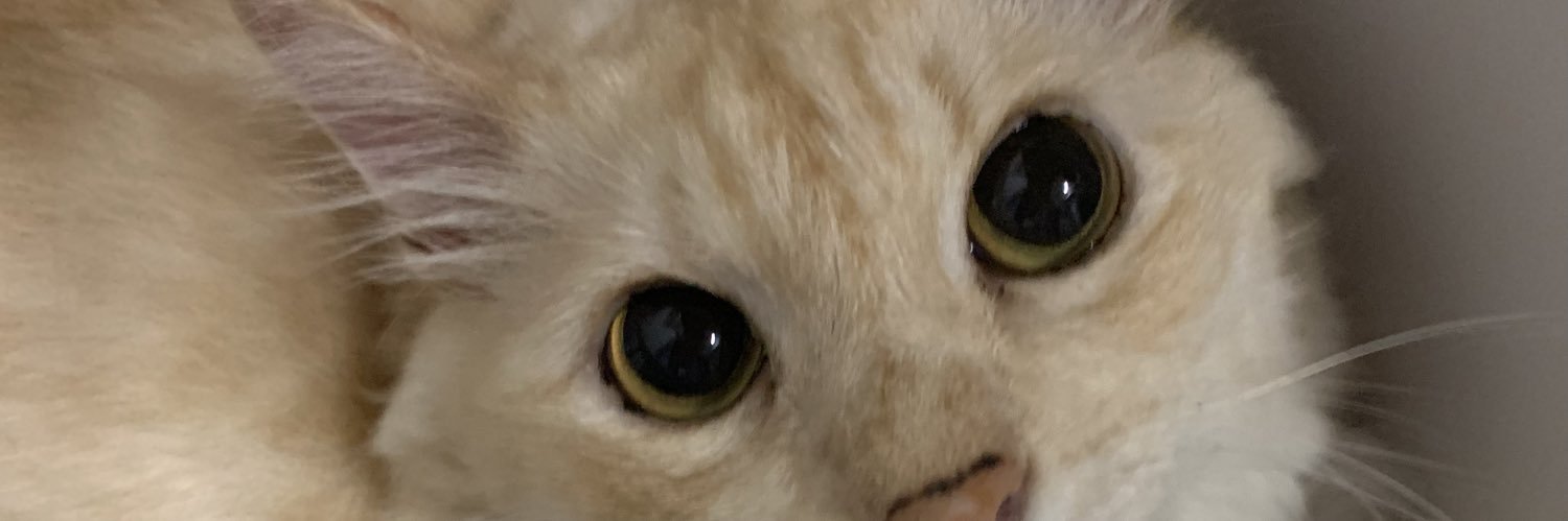 nanisalk's profile banner image
