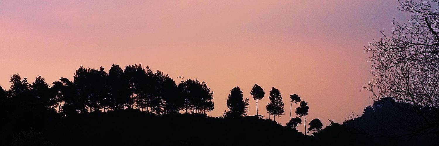 bagasbkr's profile banner image