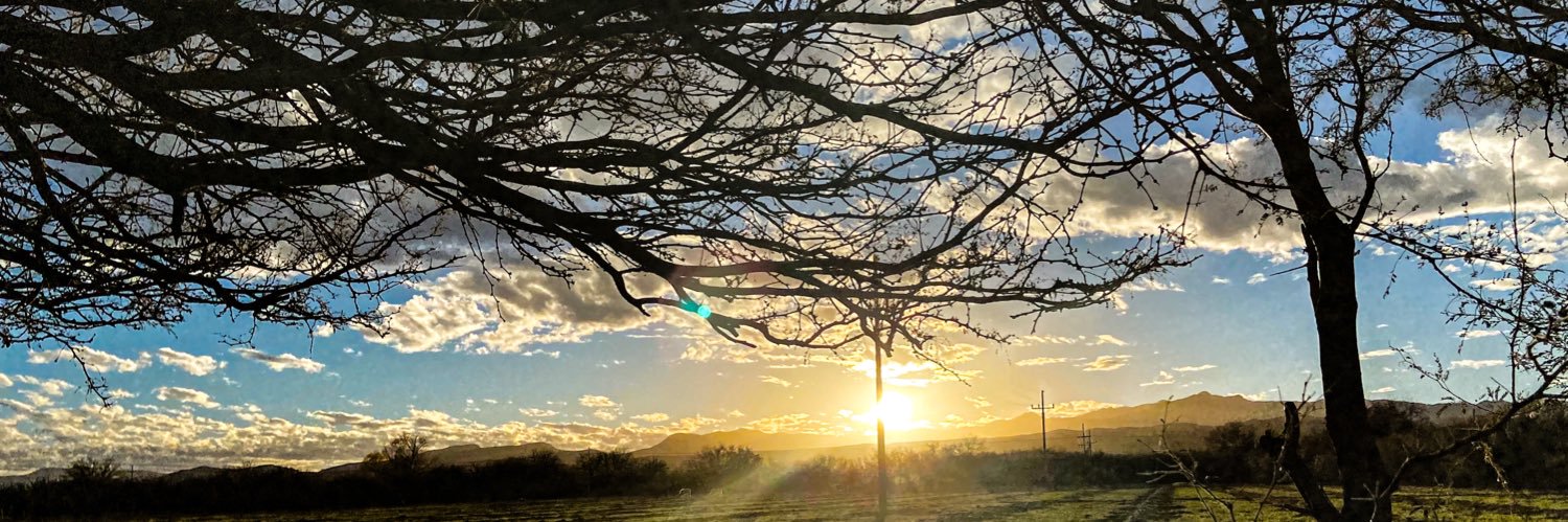 josezp's profile banner image