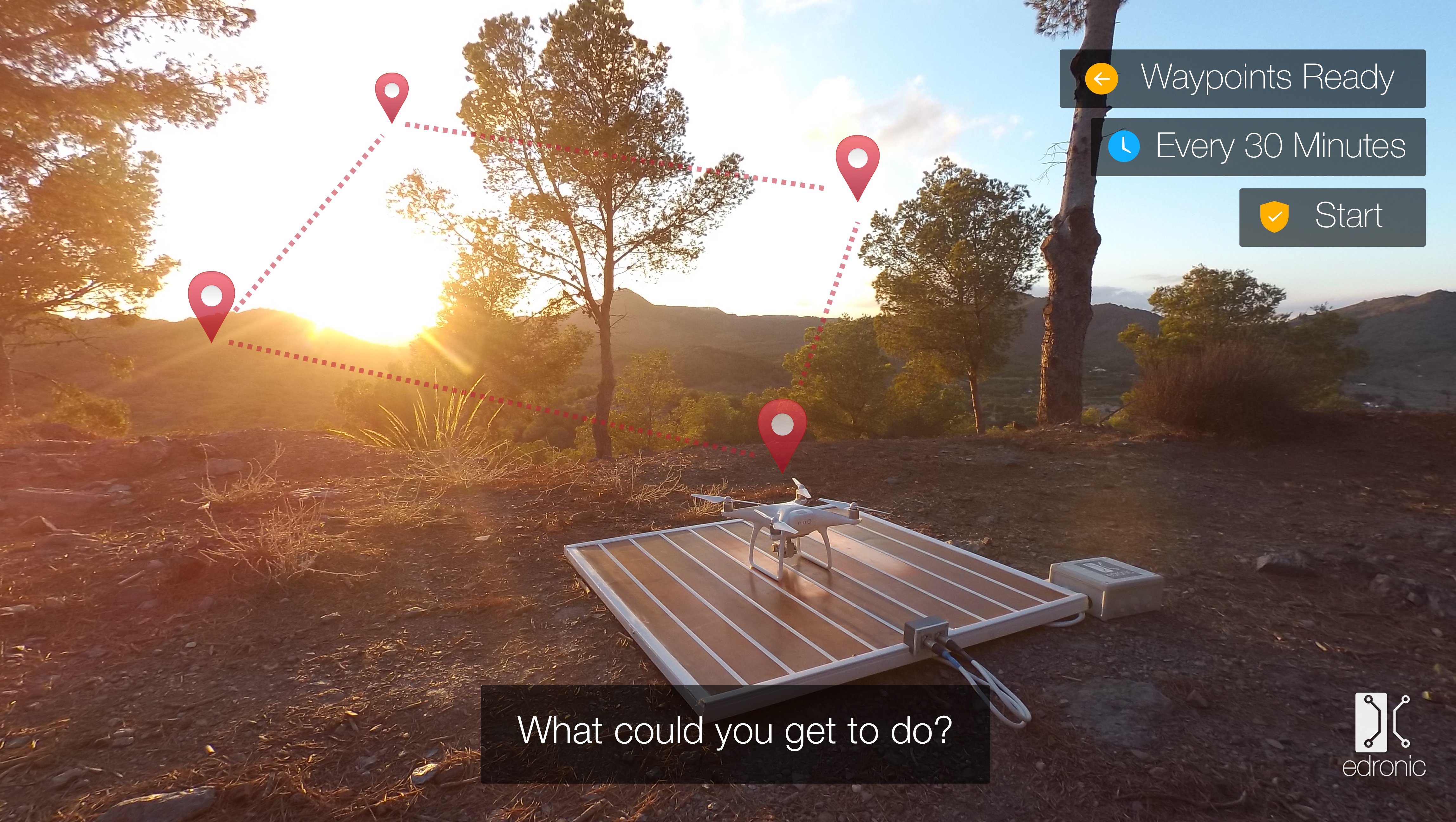 Francisco J. Belchí banner