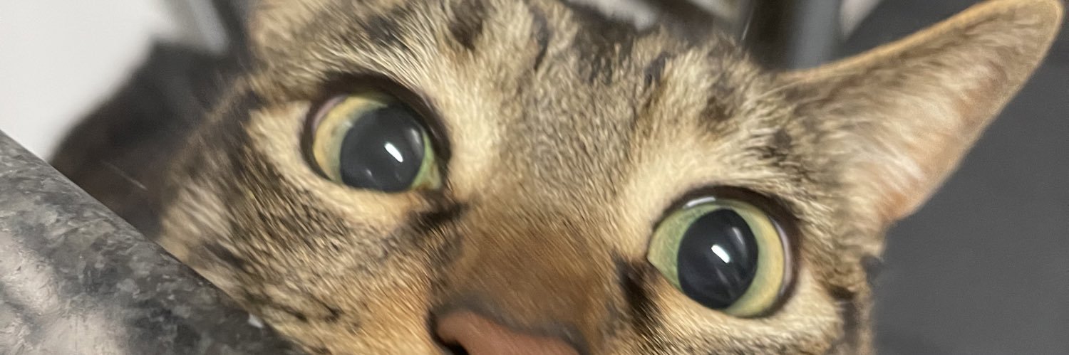 amorani3's profile banner image