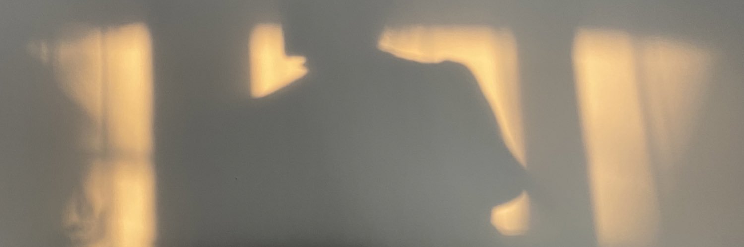 fsaviera's profile banner image