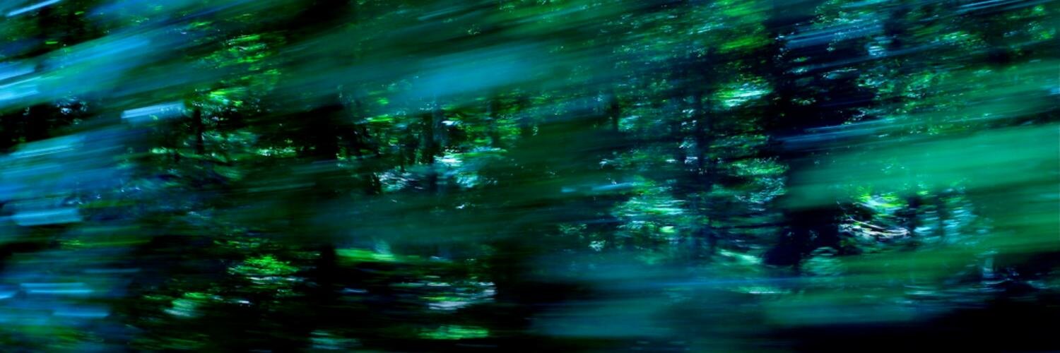 mukherjester's profile banner image