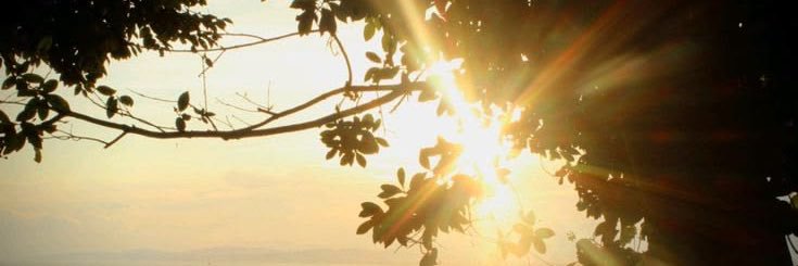 PITL's profile banner image