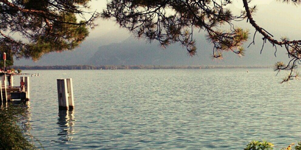 DauDauChan's profile banner image