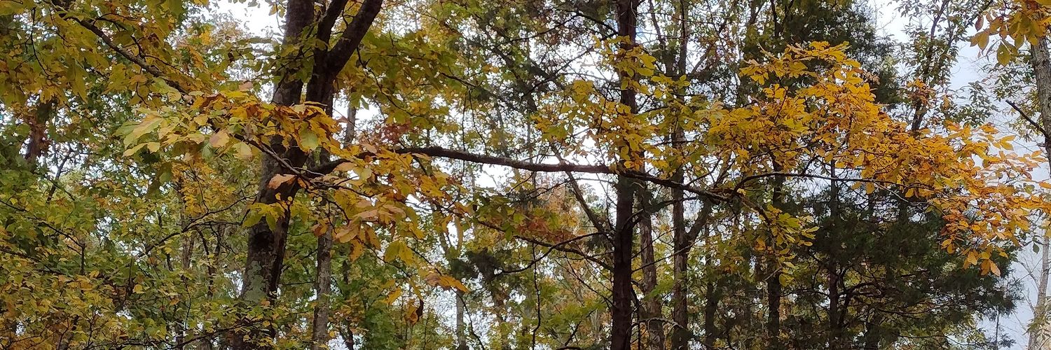 Spirit Fairbairn banner