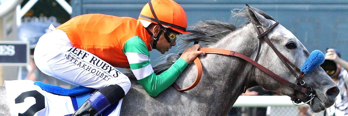 tinmanken's profile banner image