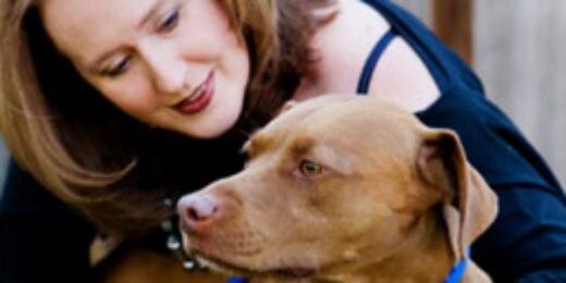 Brown Dog Foundation banner