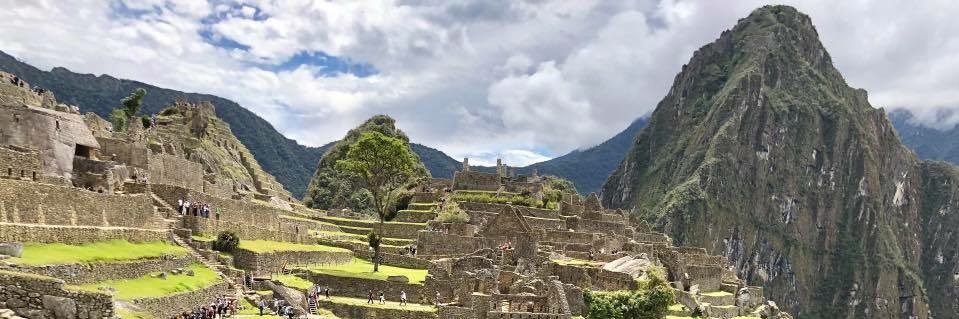 Anuja Bandyopadhyay banner