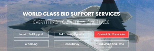Bid Perfect banner