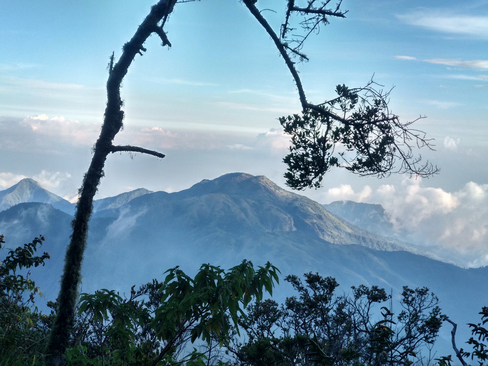 stevebahruddin's profile banner image