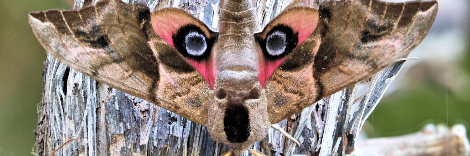 David Bradley (sciencebase) banner