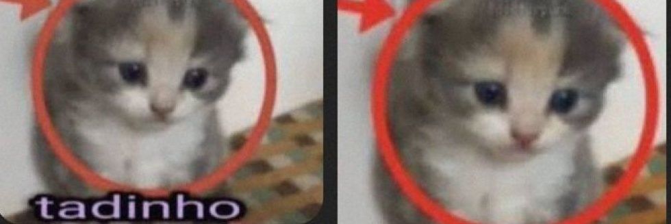 fabixana alburqueruque banner