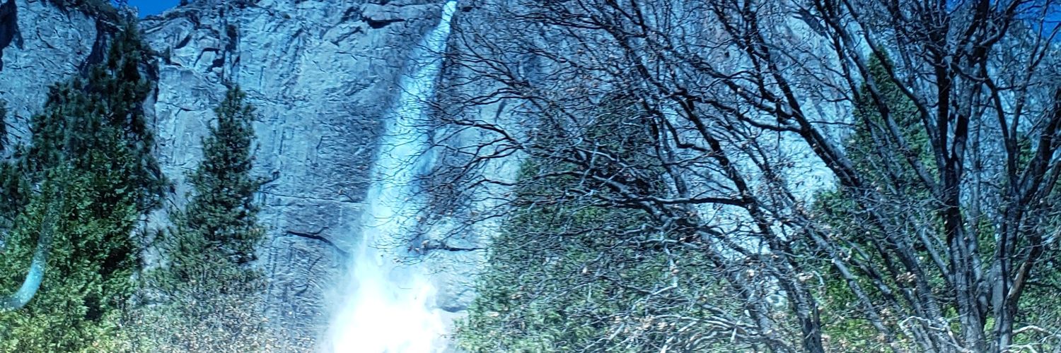 deesatz's profile banner image